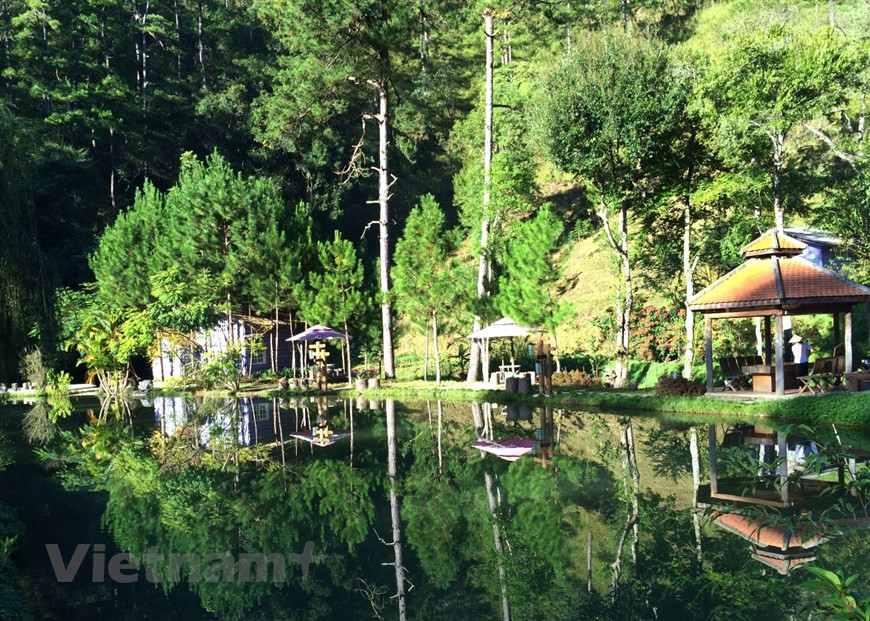 Войдя в парк, вам покажется, что вы очутились в ином мире; многие люди даже замерают на некоторое мгновение. Здесь выращивают более 300 видов цветов: розы, астры, гладиолусы, гортензии, мимозы, сальвии, рододендроны, незабудки, виолы и т.д. Каждый цветок красив и великолепен по-своему. Кроме того, в парке растут лучшие далатские архидеи и гигантские кактусы. Линь Дан живёт в городе Хошимин. Она часто приезжает в Далат, и каждый раз не забывает посетить цветочный парк. Линь Дан сказала: «В Городском парке цветов Далата можно увидеть практически все виды цветов, в том числе и те, которые не выращивают в парке, например, сальвии, так как они требуют большого ухода. Здесь не просто растут дорогостоящие цветы – они гармонично сочетаются друг с другом, будто сами выросли на природе». (Фото: Vietnam+) 
