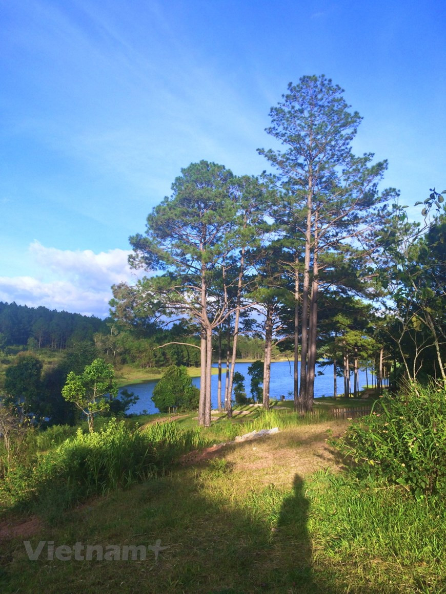 Свежий сад Далата. Расположенный всего в 3 км от центра Далата, «Свежий сад Далата» является туристическим направлением, которое вы не должны пропустить, если хотите увидеть красивые пейзажи, созданные с помощью цветов. В саду есть работы из живых цветов и красочных цветочных полей, таких как нефрит, гортензии, лаванда, недотрога, герань, вереск, бегония, нектар и другие. «Свежий сад Далата» – это поистине живописный цветник, если смотреть сверху вниз. Часто известный как город тысячи цветов, Далат является домом для различных цветочных парков, ферм и фестивалей, каждый из которых украшает город яркими цветами и богатыми зелеными пейзажами, - сообщает американское туристическое агентство онлайн-бронирования Booking.com. Далат находится среди лучших направлений для любителей цветов по версии Booking.com. (Фото: Vietnam+) 