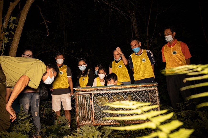 За прошедшее время программа получила теплый отклик у публики. Национальный парк Кукфыонг является естественной средой обитания для более 2.000 видов растений и 2.600 видов животных, включая 2.000 видов насекомых, 135 видов млекопитающих, 122 вида рептилий и земноводных, 65 видов рыб и более 336 видов птиц. Здесь были обнаружены и охраняются многие исчезающие виды, в том числе летающая ящерица, пятнистый олень, золотая обезьяна, медведь, леопард, лисица, лошадь и знаменитый черно-белый лангур. Кроме того, парк знаменит своими многочисленными горными пещерными пейзажами. В парке много известняковых гор и долин. За прошедшее время национальный парк Кукфыонг синхронно реализовал все три основных направления: защита лесов, связанная с сохранением биоразнообразия; научные исследования, международное сотрудничество по охране природы; экологическое просвещение, связанное с эксплуатацией экотуризма. (Фото: Вьетнам+)