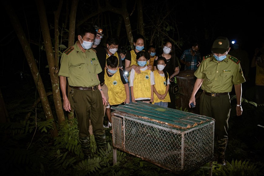 В рамках программы выпуска дикой природы правление национального парка Кукфыонг также призвало к совместным усилиям по защите дикой природы. Директор национального парка Нгуен Ван Тьинь сказал, что лесозащитная станция Кукфыонг - основное подразделение, выполняющее эту задачу, внесла много изменений в расстановку кадров и повысила профессионализм лесничих. Экологическое просвещение посредством экотуризма является эффективным каналом повышения осведомленности общественности и передачи послания о любви к природе и ее сохранении. «Возвращение домой» - это первый тур такого рода во Вьетнаме, целью которого является распространение идеи сохранения природы среди широкой публики. Наблюдая за тем моментом, когда животные «оживают», каждый посетитель обязательно получит энергию лесов своими собственными чувствами и поймет нашу миссию - донести наше послание до семьи и близких об ответственности общества за устойчивое развитие. (Фото: Вьетнам+)