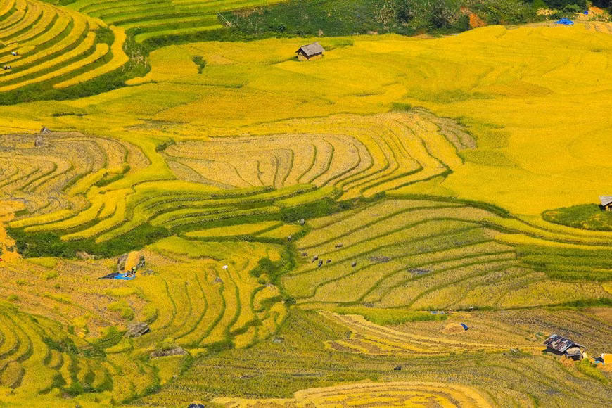 (Фото: Тхэ Дай / Vietnam +)