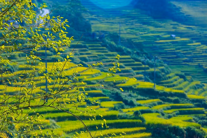 (Фото: Тхэ Дай / Vietnam +)