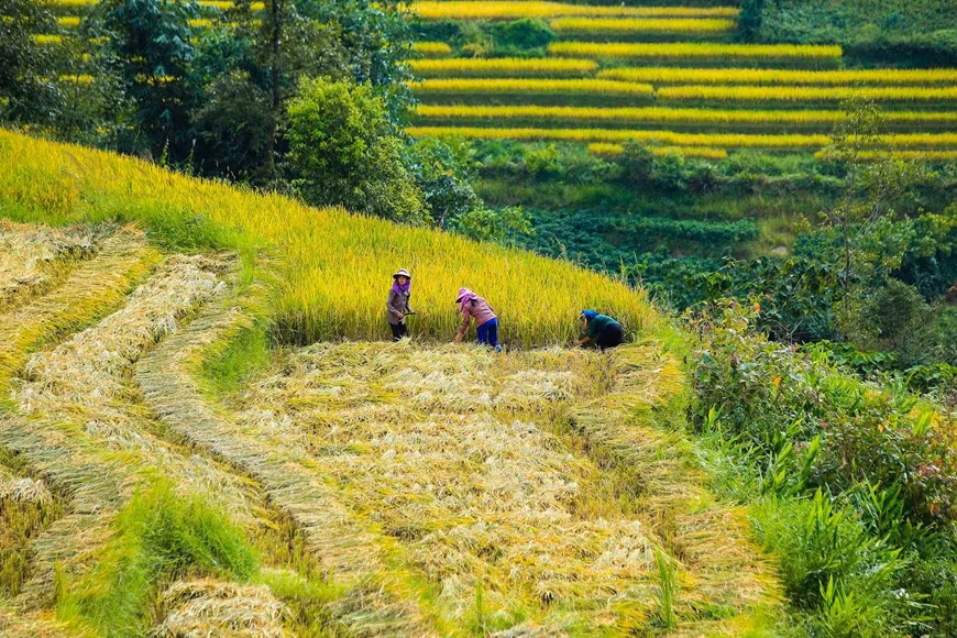 Красота И Ти начинается уже с дороги, ведущей к ней. (Фото: Тхэ Дай / Vietnam+)