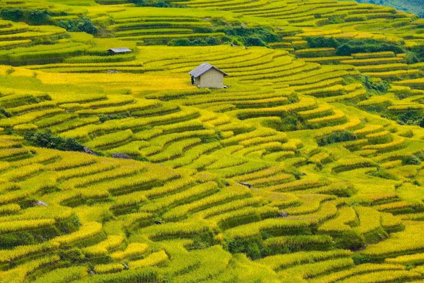 (Фото: Тхэ Дай / Vietnam +)