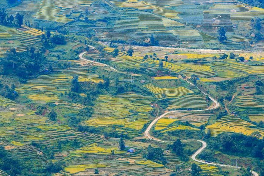 (Фото: Тхэ Дай / Vietnam +)