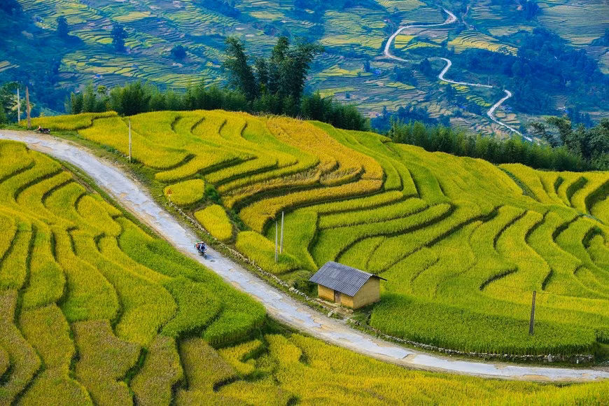 (Фото: Тхэ Дай / Vietnam +)