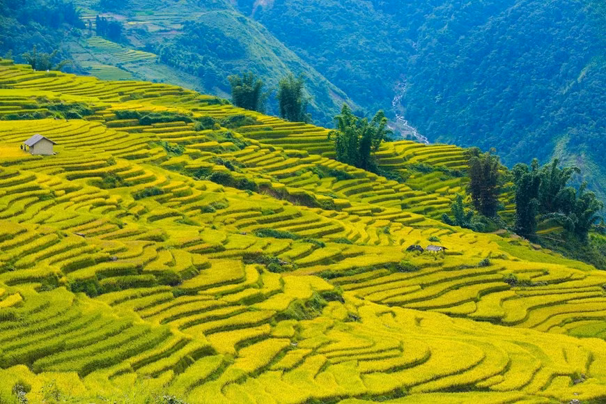 (Фото: Тхэ Дай / Vietnam +)