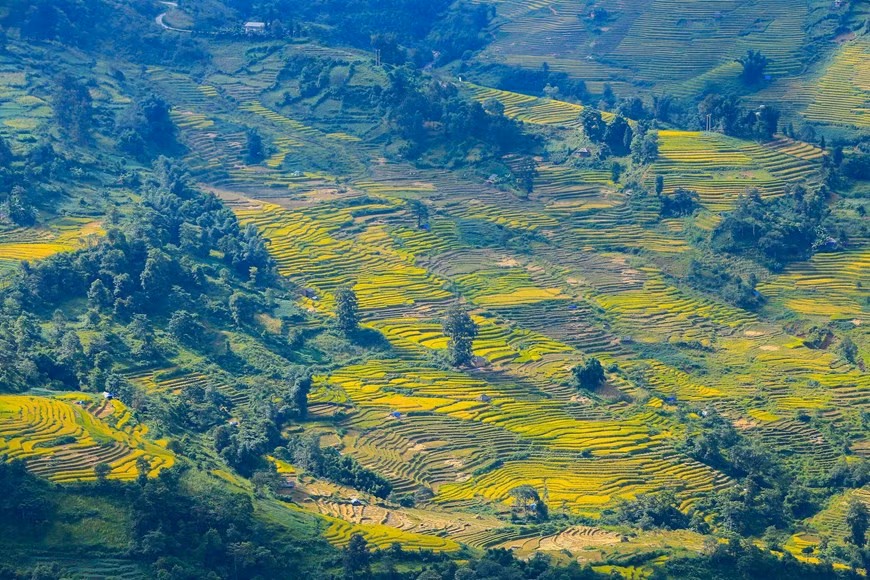 (Фото: Тхэ Дай / Vietnam +)