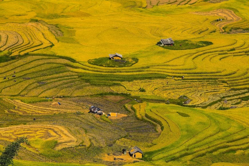 (Фото: Тхэ Дай / Vietnam +)