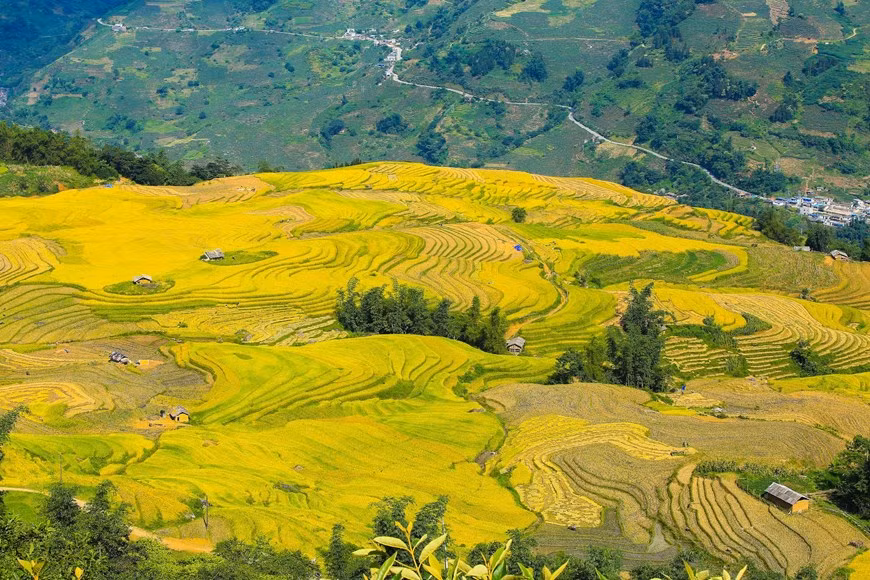 (Фото: Тхэ Дай / Vietnam +)