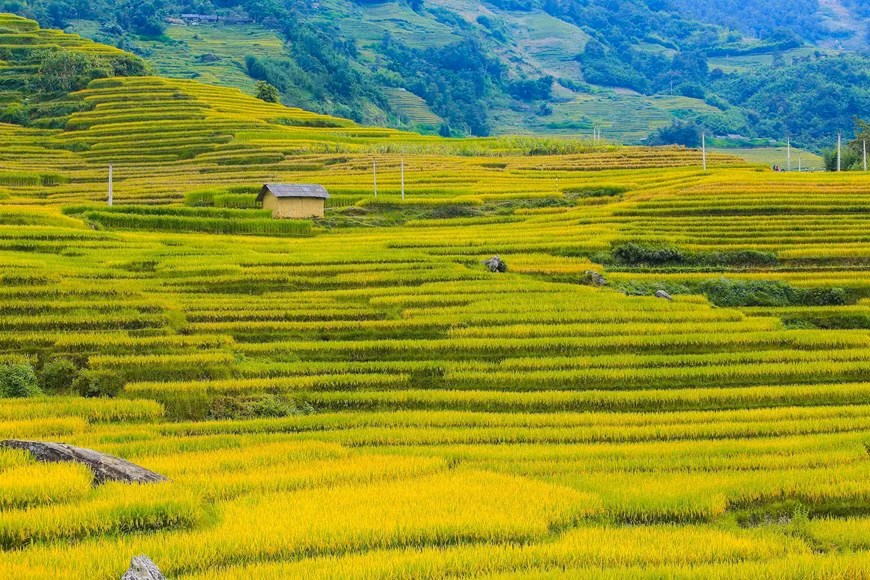 (Фото: Тхэ Дай / Vietnam +)