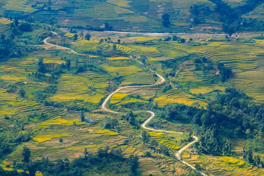 Nhập mô tả cho ảnh
