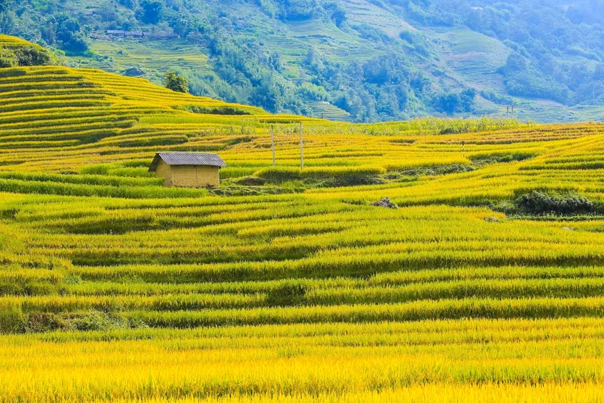 (Фото: Тхэ Дай / Vietnam +)