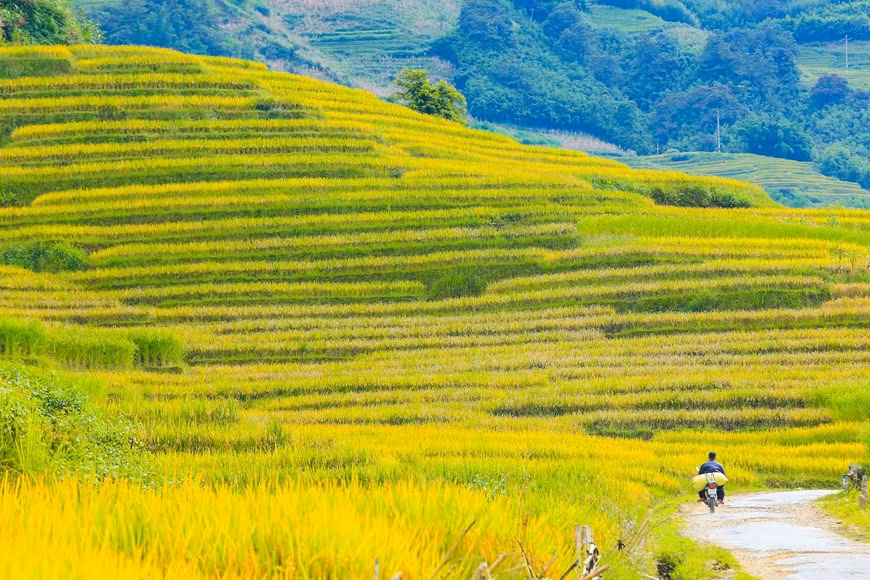 (Фото: Тхэ Дай / Vietnam +)
