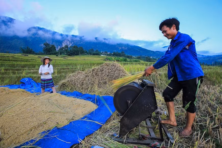 (Фото: Тхэ Дай / Vietnam +)