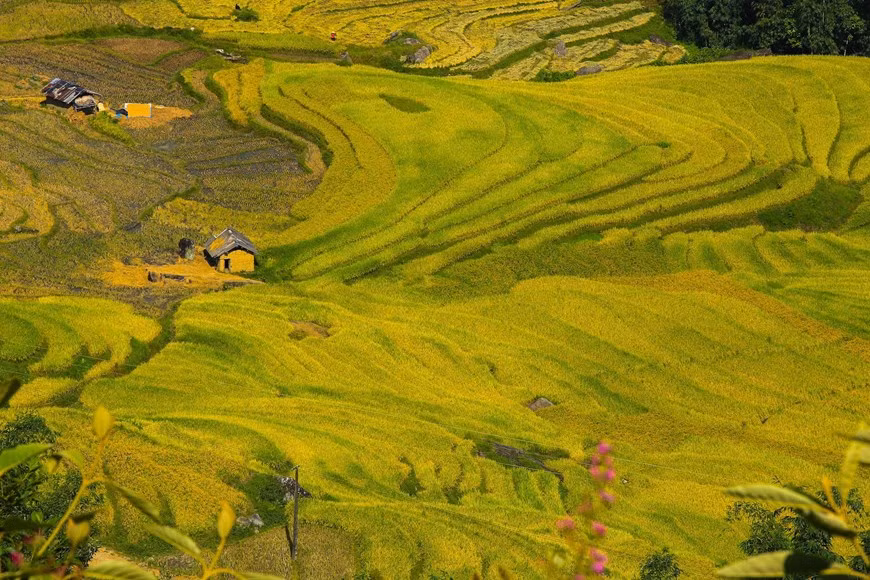 (Фото: Тхэ Дай / Vietnam +)