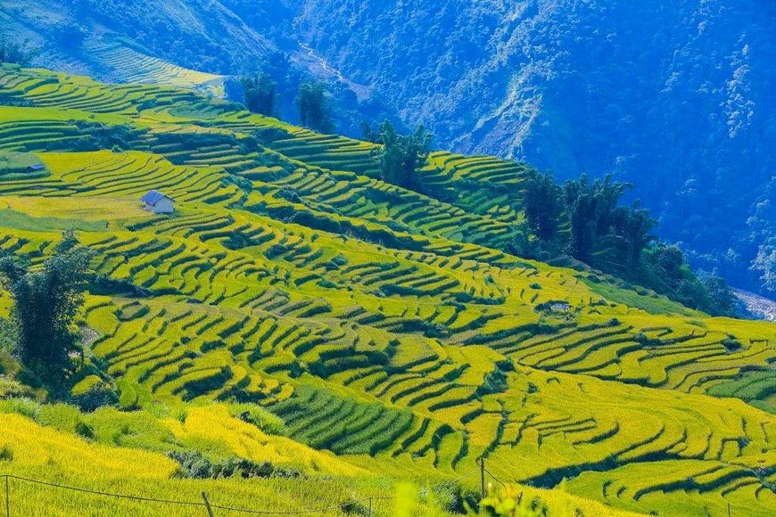 (Фото: Тхэ Дай / Vietnam +)