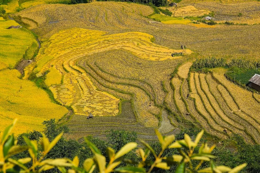 (Фото: Тхэ Дай / Vietnam +)