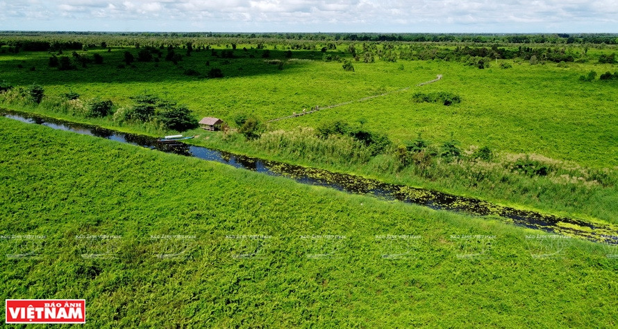 Национальный парк У Минь Тхыонг имеет очень богатую флору и фауну. (Фото: ИЖВ)