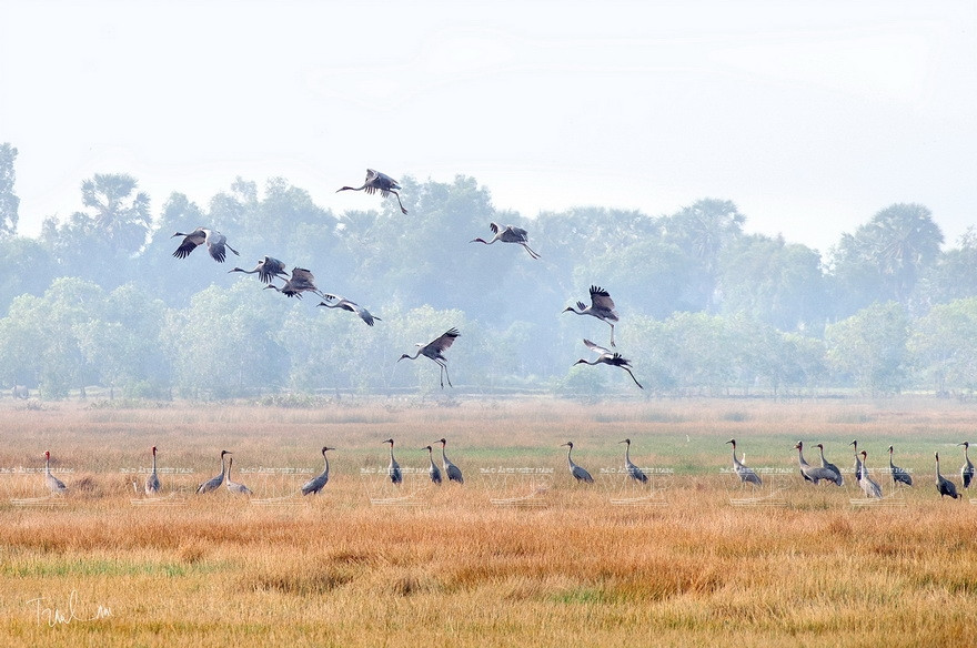Некоторые работы на выставке "Мгновения природы". (Фото: ИЖВ)