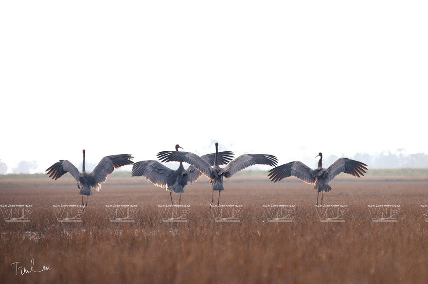 Некоторые работы на выставке "Мгновения природы". (Фото: ИЖВ)