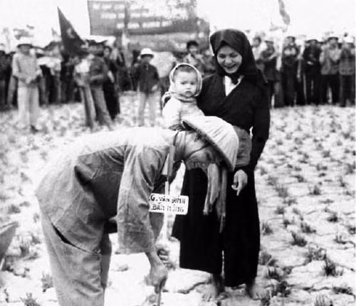 В 1957 году была успешно завершена земельная реформа, которая окончательно отменила режим феодального землевладения, передав землю крестьянам. Успешная земельная реформа кардинально изменила облик сельской местности на Севере, создало стимулирование производства и восстановления экономического роста, исцеления боевых ран. (Фото: архив/опубликовано ВИА)