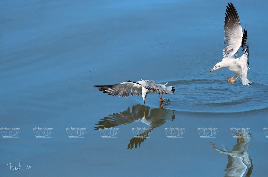 Некоторые работы на выставке "Мгновения природы". (Фото: ИЖВ)