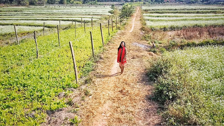 Первые туристы уже открыли новое место для фотосессии. (Фото: Суан Май /Vietnam+)