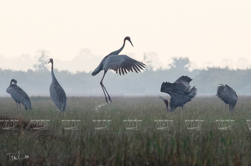Некоторые работы на выставке "Мгновения природы". (Фото: ИЖВ)
