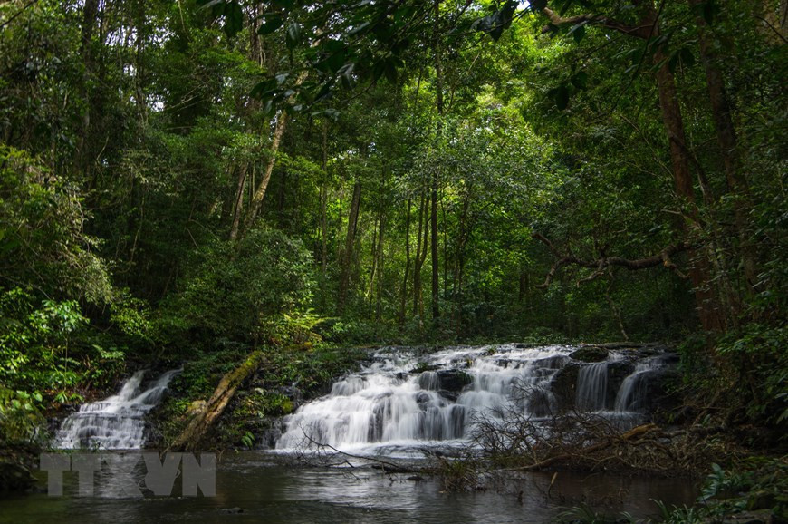 Уголок плато Конханынг. (Фото: ВИА)