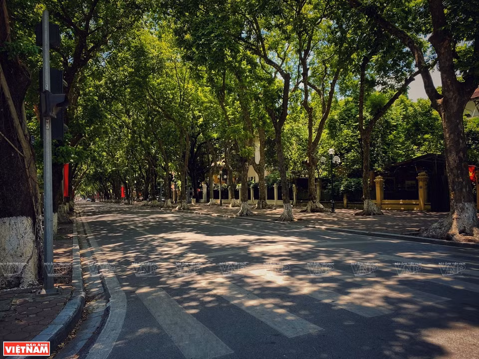 Улица Фан Динь Фунг во времена социального дистанцирования. (Фото: ИЖВ)