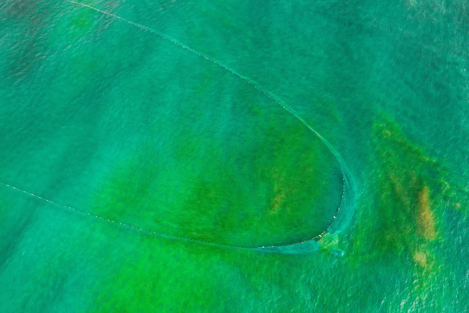 Улов собирается в дне сети. (Фото: ВИА)