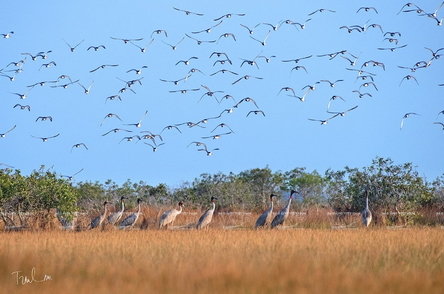 Некоторые работы на выставке "Мгновения природы". (Фото: ИЖВ)