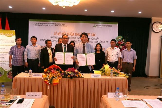 Директор Департамента экономического сотрудничества и развития сельских местностей г-н Ма Куанг Чунг (слева) и главный представитель Good Neighbours International (GNI) Ан Ён Сич подписали соглашение о сотрудничестве по Программе помощи развитию Кооперативы нового типа и производственно-сбытовые цепочки сельскохозяйственных продуктов Вьетнама. (Фото: ВИА)