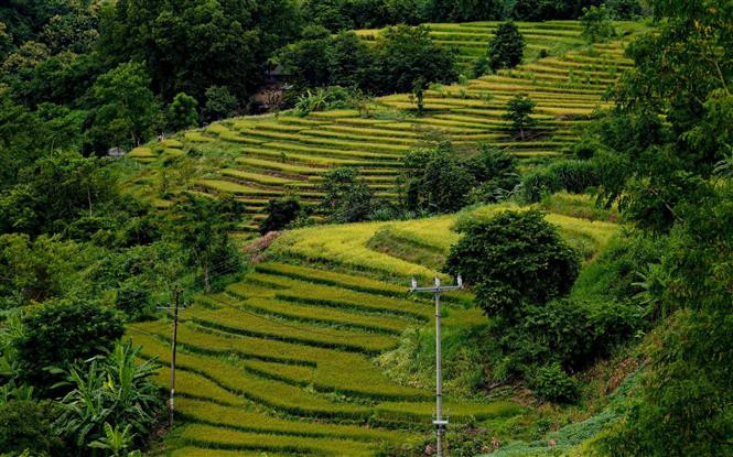 Террасы полей создают в Таленге поэтическую сцену. (Фото: ВИА)