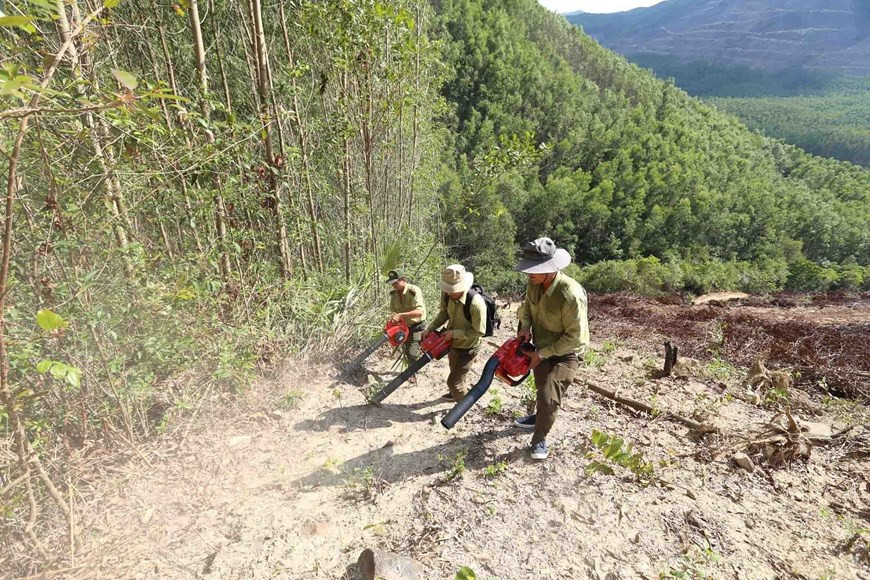 Лесная охрана Биньдинь регулярно осуществляет патрулирование, проверку и контроль выход и вход в леса, особенно в районах с высоким риском пожаров, обеспечивая круглосуточное реагирование для оперативного выявления и тушения пожаров, минимизируйя возникновение лесных пожаров. (Фото: Ву Шинь /ВИА)