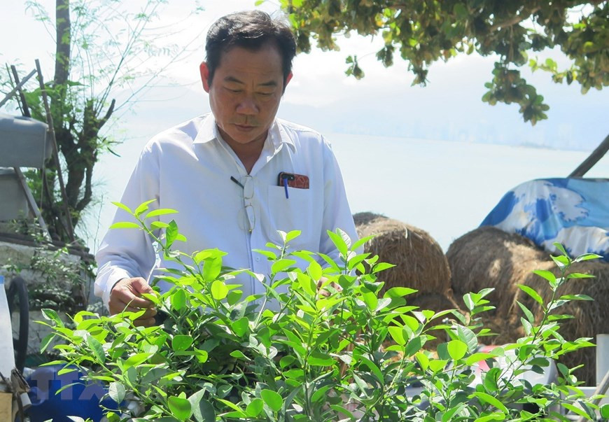 Ветеран и инвалид войны Нгуен Ван Зунг (родился в 1966г.), проживающий в квартале Виньхоа (город Нячанг, провинция Кханьхоа) - один из немногих солдат, оставшихся в живых после боя за Гакма в 1988 году. (Фото: Фан Шау / ВИА)