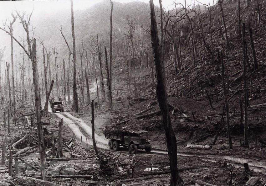 Автор Ван Шак был удостоен Государственной премии в 2006 году за фотографию “Дорога на фронт”. (Фото: Ван Шак / ВИА)