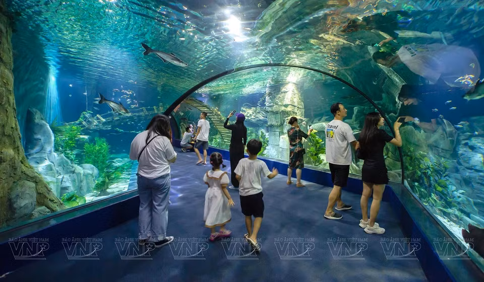 В ханойском океанариуме Lotte World посетители могут не только полюбоваться таинственной красотой тысяч морских обитателей, но и ощутить волшебную жизнь под водой.(Фото: ВИА)