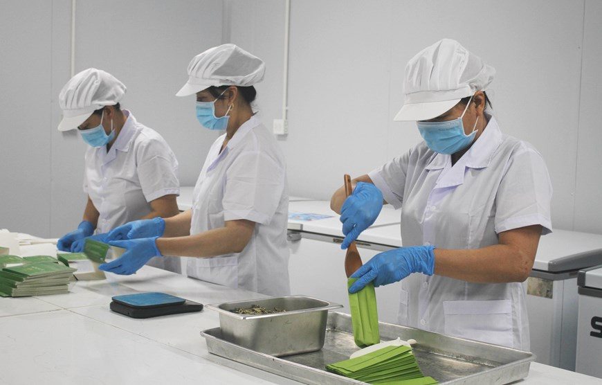 Производство лотосового чая на предприятии Hali Import-Export and Trading Services JSC в провинции Ниньбинь. (Фото: ВИА)