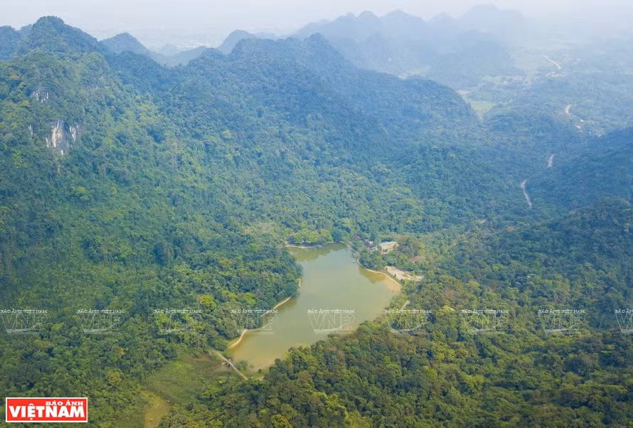 Кукфыонг – первый национальный парк Вьетнама, созданный в 1962 году, расположен в 120 км от Ханоя, на территории трех провинций Ниньбинь, Хоабинь и Тханьхоа. (Фото: ИЖВ)