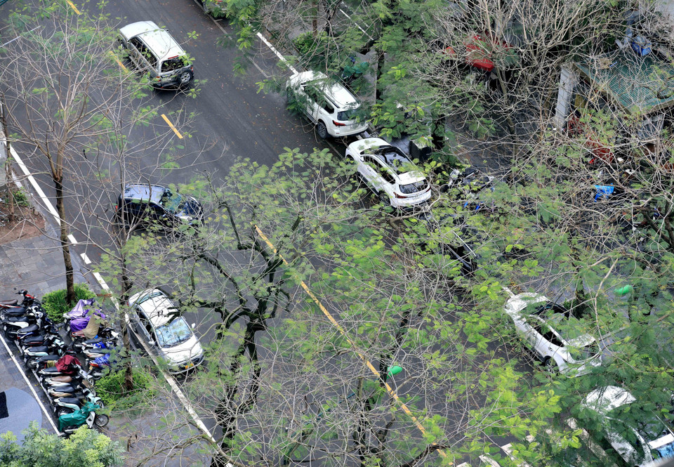 Тамаринды на улице Ли Тхыонг Киет. (Фото: ВИА)