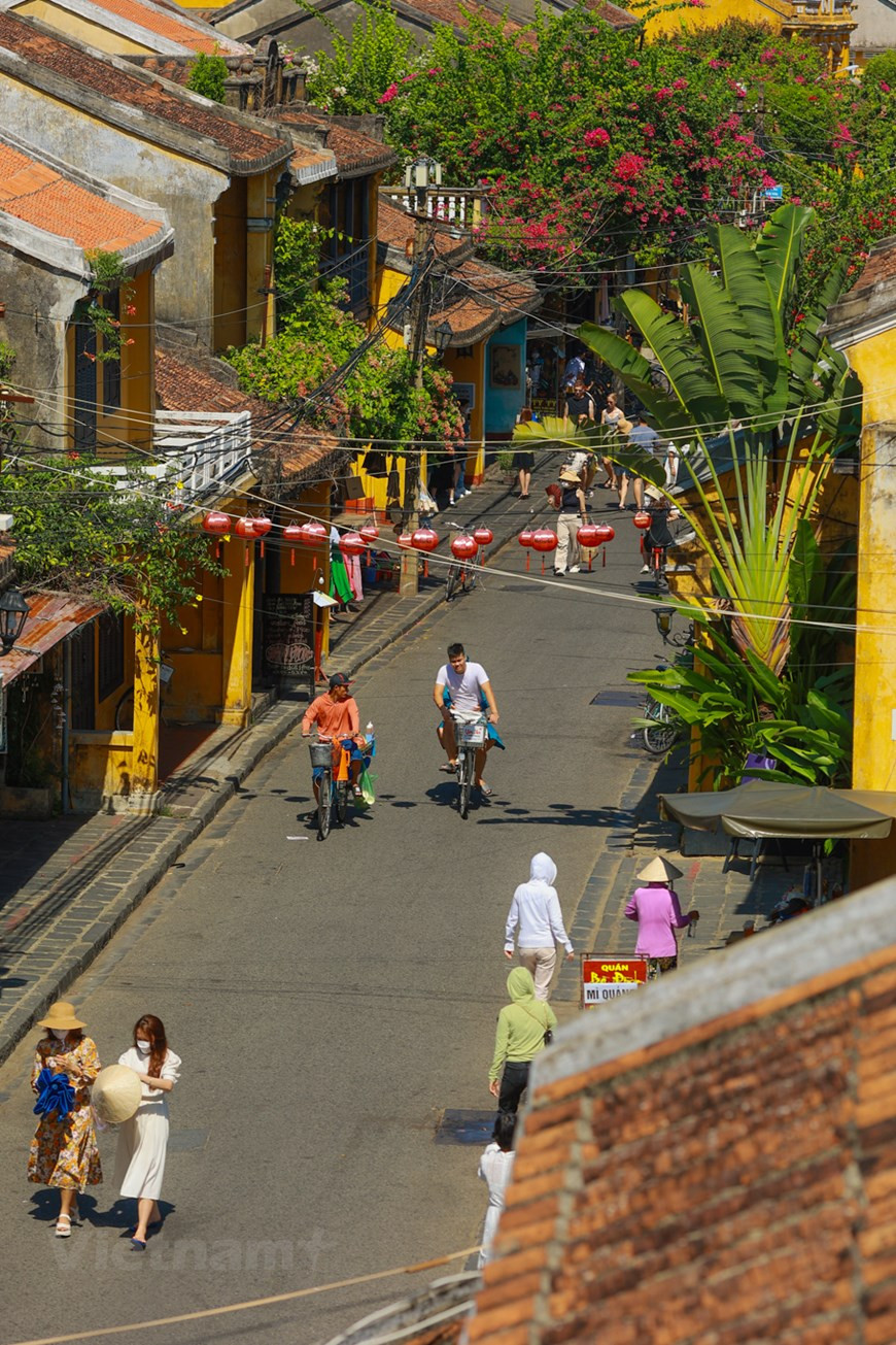 Не случайно провинция Куангнам был выбран местом проведения церемонии открытия Национального Года туризма в 2022 году. Древний город Хойан расположен в низовье реки Тхубон, на расстоянии около 30 км южнее города Дананга. Административно он принадлежит провинции Куангнам. В старинных европейских документах Хойан был обозначен как Файфо. На протяжении 17 и 18 веков Хойан был оживлённым, важным морским портом, лежащим на пересечении торговых путей самых крупных флотов: Японии, Китая, Голландии, Испании, Индии и других. До этого Файфо также встречался в документах как важный перевалочный пункт на морском шёлковом пути. В настоящее время Хойан часто сравнивают с живым музеем архитектуры и городского быта. Он является традиционным для Восточной Азии городом-портом, чья древность поддерживается в целостности и находится под надёжной защитой. (Фото: Минь Шон/Vietnam+)