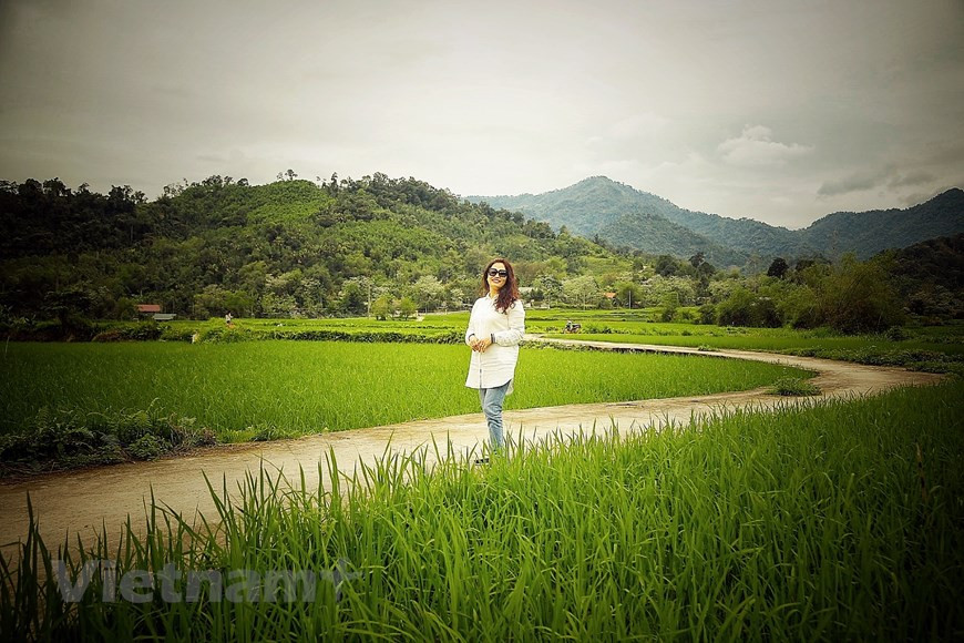 Туристы любят пройтись по извилистым дорогам посреди полевых полей. Господин Нгуен Тхо Лай, заместитель директора местного Управления сельского хозяйства и развития сельской местности провинции Туенкуанг, рассказывает, что власти провинции Туенкуанг определили чайное дерево как главную техническую культуру, которая способна понизить уровень бедности, способствовать ликвидации голода среди жителей провинции, в особенности в бедных районах, где основу населения составляют представители этнических меньшинств. В период с 2007 по 2011 год провинциальные власти провели в жизнь ряд мероприятий, поощряющих выращивание чая и развитие чайного производства. Была создана зона, специализирующаяся на выращивании экологически чистого чая в общине Тыкуан уезда Иеншон и в деревне Бат уезда Хамиен. (Фото: Май Май/ Vietnam+)