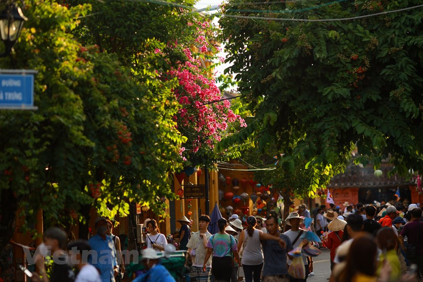 Фотопрогулка по старому городу Хойана. Здесь туристы могут путешествовать по красивому маленькому городку пешком в поисках разных изделий в ремесленных лавках. В соответствии с описанием Booking.com, Хойан является интересным и выдающимся направлением. Здесь туристы могут путешествовать по красивому маленькому городку пешком в поисках разных изделий в ремесленных лавках. В описании также указано, что здесь можно насладиться местными деликатесами с нотками французской и китайской кухни. Booking.com также рекомендует туристами принять участие в турах по городу Хойан на велосипедах с экскурсоводом. В рамках тура туристы имеют возможность встретиться с местными ремесленниками. Во Вьетнаме, и Хойан не исключение, принято различать сухой сезон и сезон дождей. Сезон дождей продолжается с сентября по начало января. Наибольшее количество осадков выпадает в октябре-ноябре – в это время льют проливные дожди, могут быть тайфуны, нередко случаются наводнения. (Фото: Минь Шон/Vietnam+) 