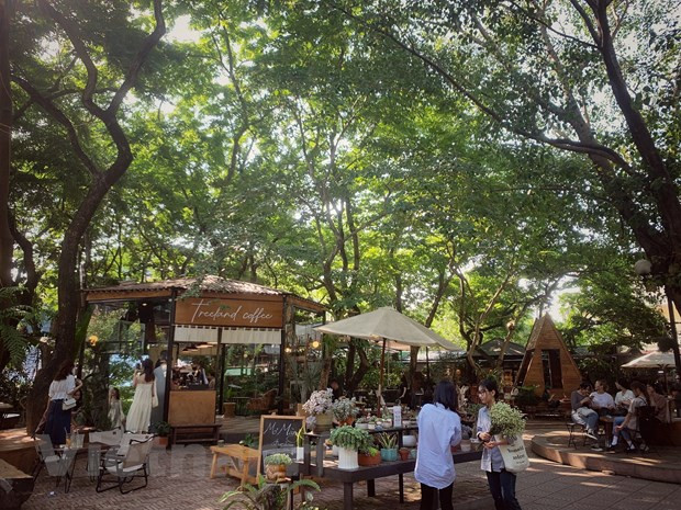 «Миниатюрный Далат» в центре Ханоя. Расположенный в оживленном районе Каужай, где находится ряда университетов, Treeland Coffee называют «миниатюрным Далатом в самом сердце Ханоя» благодаря просторному, прохладному пространству, окруженному большими деревьями. Преимущество заведения состоит в очень просторной территории и разнообразном меню напитков на любой вкус, от кофе, чая, фреша, пирожных... хотя вкус не слишком особенный. Пространство кафе простирается на один этаж и выполнено по неоклассическому стилю в сочетании с природой, что удовлетворяет разные «вкусы» посетителей-любителей тренда. Кроме того, в кафе также есть много приватных пространств, подходящих для тех, кто любит спокойствие, это также идеальное место для влюбленных пар или просто творческих людей, которые хотят найти тихое место для работы. Treeland Coffee подойдет тем, кто хочет убежать от суеты жизни и погрузиться в пространство, близкое к природе. (Фото: Vietnam+)