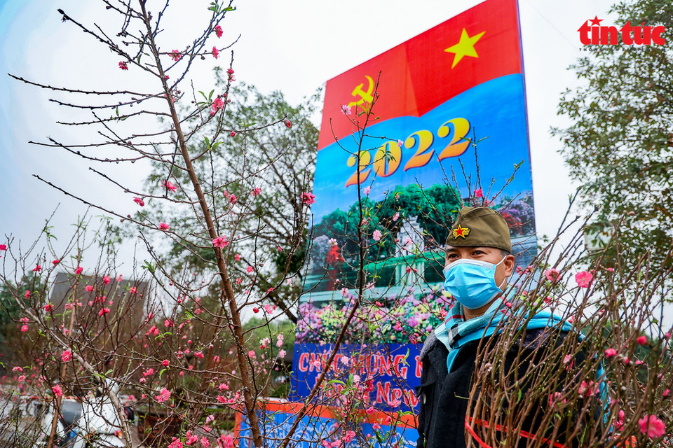 В цветочном саду Лак Лонг Куан в основном продаются сакуры. (Фото: Газета Tin tuc/ ВИА)
