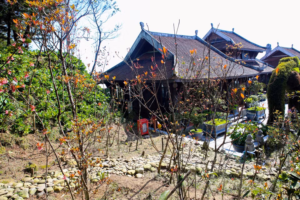 Персиковый сад на вершине горы Бана. (Фото: ВИА)