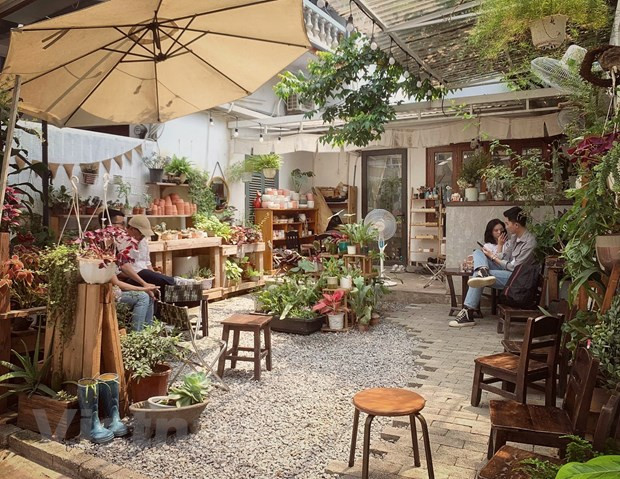 Мечтательный сад. Кафе «Као Као», расположенный в тихом переулке на оживленной улице Даотан, предлагает чрезвычайно спокойное место и приятные ощущения. Самое интересное заключается в том, что помимо кофе вы можете купить красивые растения в горшках. Двор окрашен в лучи раннего летнего солнца, что соответствует небольшой каменной дорожке, ведущей в заведение. Повсюду выставлены зеленые деревья, чтобы гости могли не только смотреть, но и отдыхать, потягивая ароматные напитки. Кафе действительно стало садом для мечтателей. Хотя из-за деревьев места не так уж и много, но красивые изделия кустарной работы, выставленные в кафе, помогают посетителям расслабляться и не спешить покинуть заведение. Хотя меню небольшое с чаем и кофе, оформление также простое, но если вы хотите найти приятное пространство с зелеными деревьями, Кафе «Као Као» — подходящий выбор. (Фото: Vietnam+)