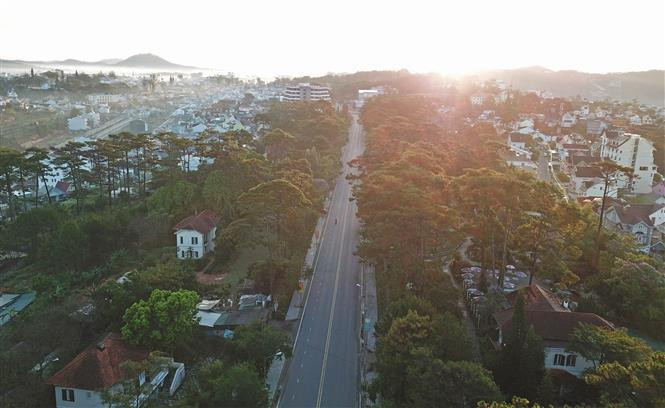 Далат также известен как рай мечты, любви, фестивалей и цветов. В этом городе было снято много романтических фильмов. (Фото: ВИА)